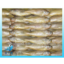 FROZEN BABY YELLOW CROAKER FISH(SEAFOOD)